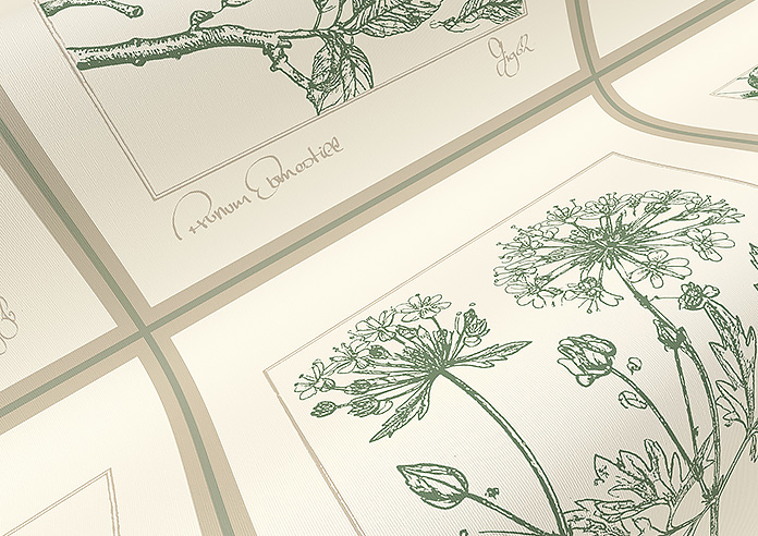 Sketchbook, Coriscon - Twist&Fit Roller Blind - Image 4